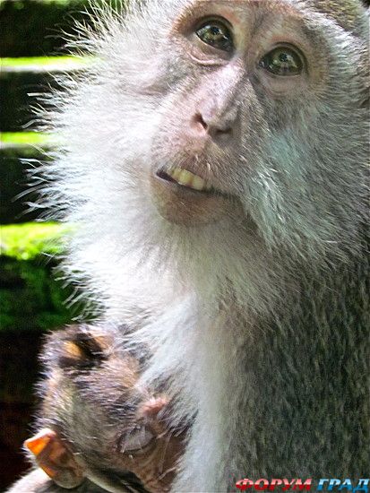 куда поехать отдыхать