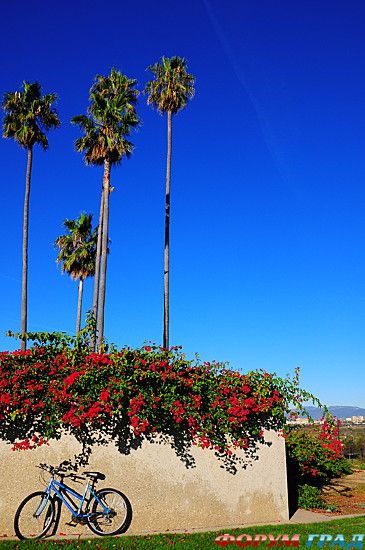 куда поехать отдыхать