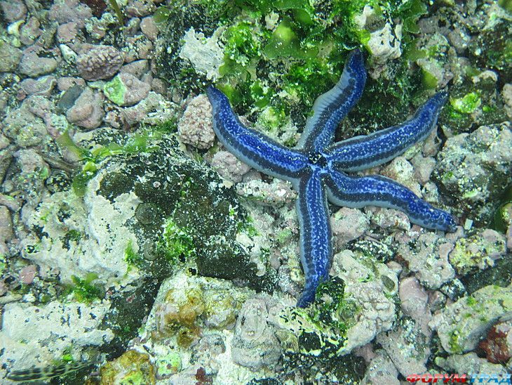 куда поехать отдыхать