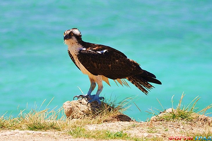 куда поехать отдыхать