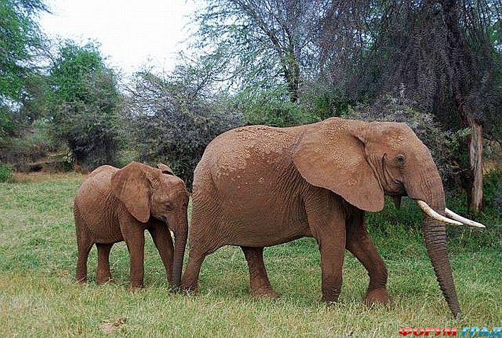 куда поехать отдыхать