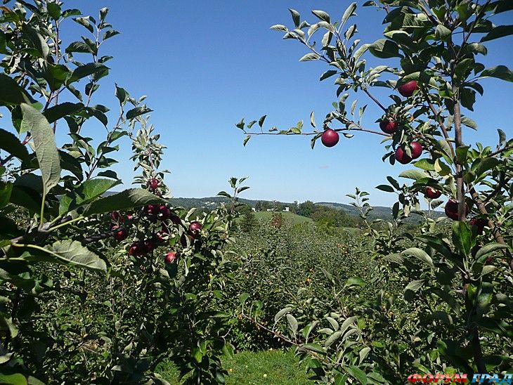 куда поехать отдыхать
