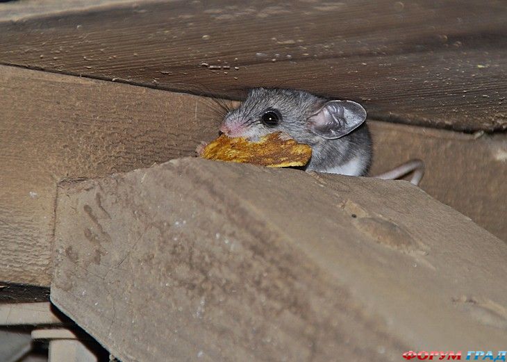 куда поехать отдыхать