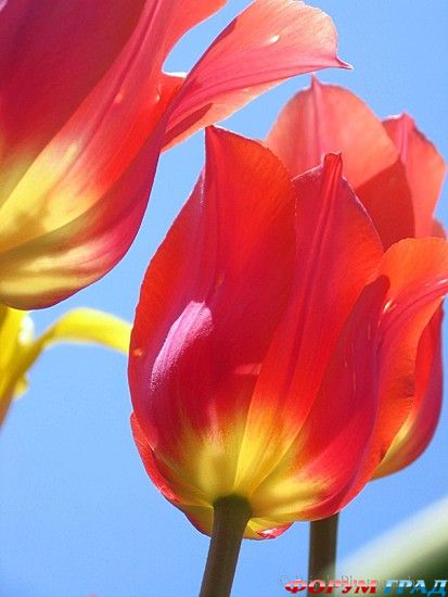 куда поехать отдыхать