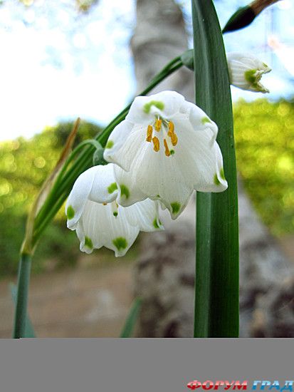 куда поехать отдыхать