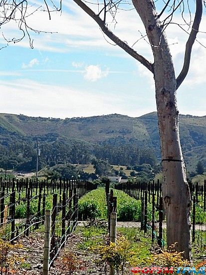 куда поехать отдыхать