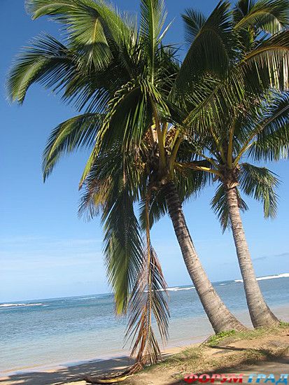 куда поехать отдыхать