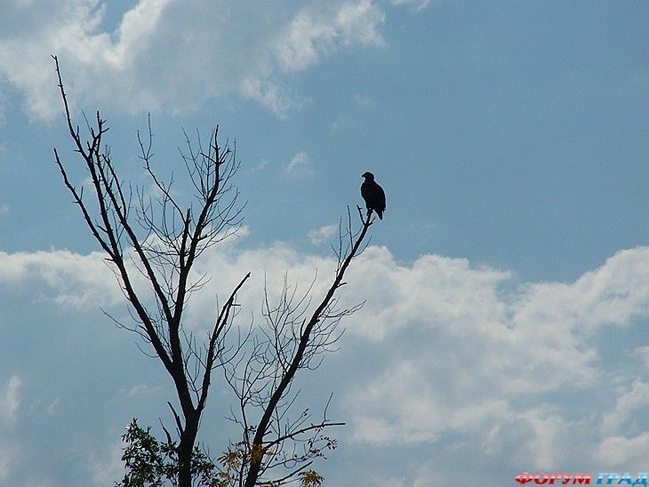 куда поехать отдыхать