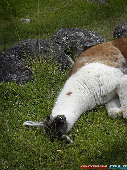 куда поехать отдыхать