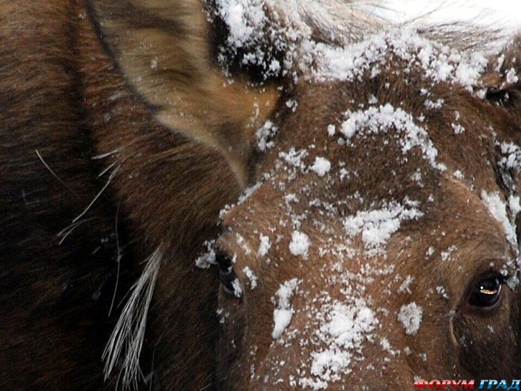 куда поехать отдыхать