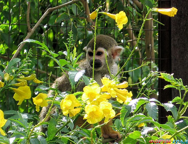 куда поехать отдыхать