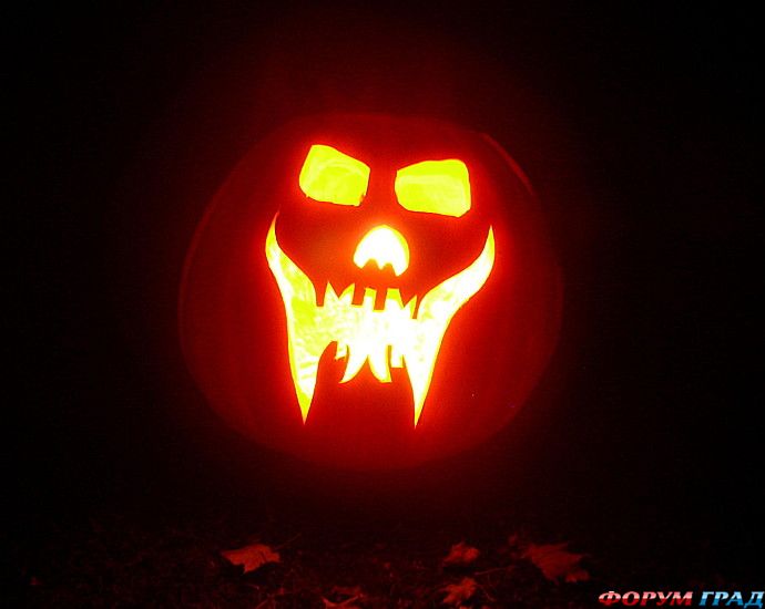 куда поехать отдыхать