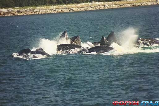 куда поехать отдыхать