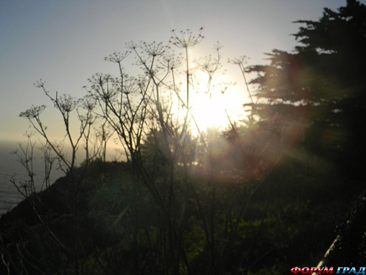 куда поехать отдыхать