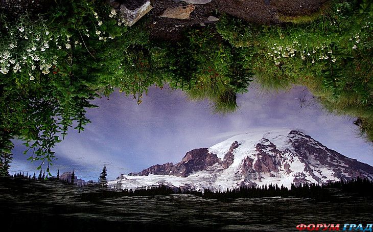 куда поехать отдыхать