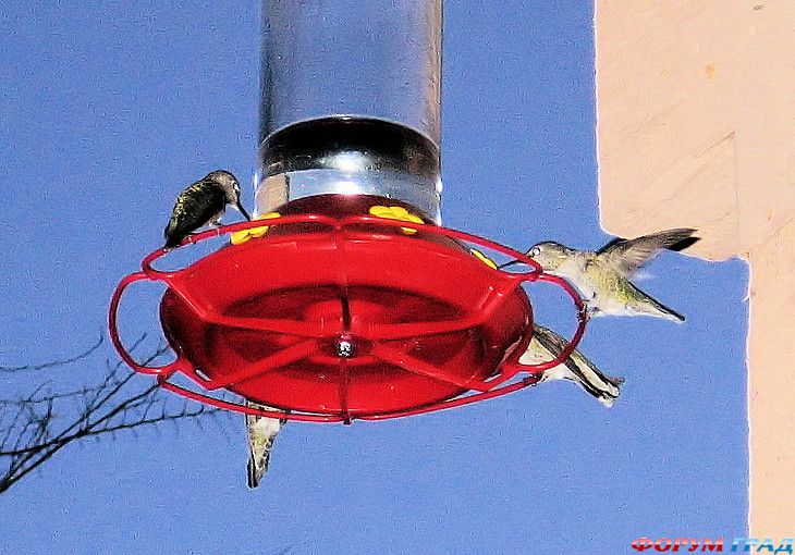 куда поехать отдыхать