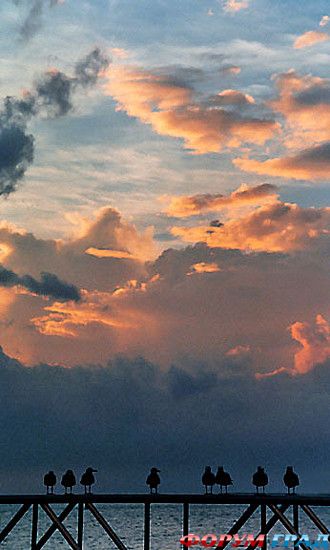 куда поехать отдыхать