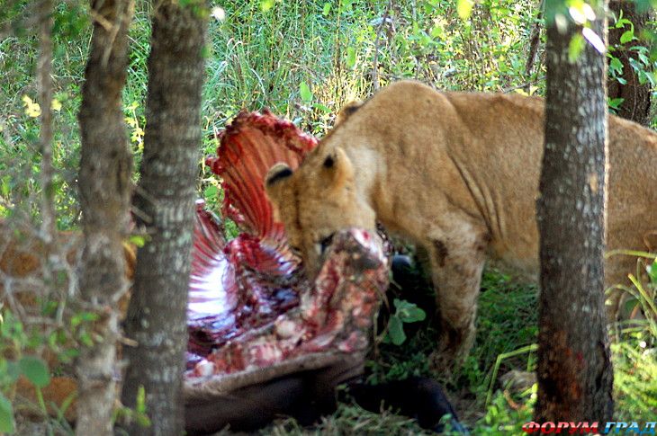 куда поехать отдыхать