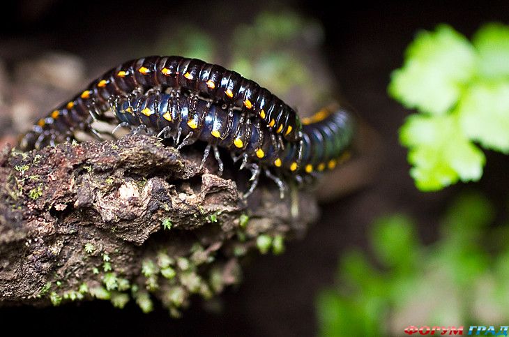 куда поехать отдыхать