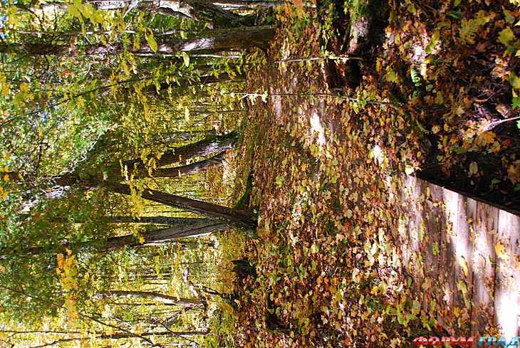 куда поехать отдыхать