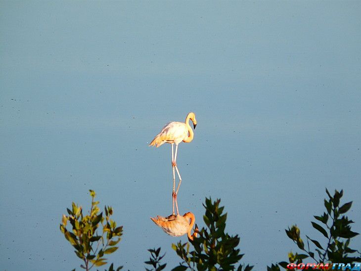 куда поехать отдыхать