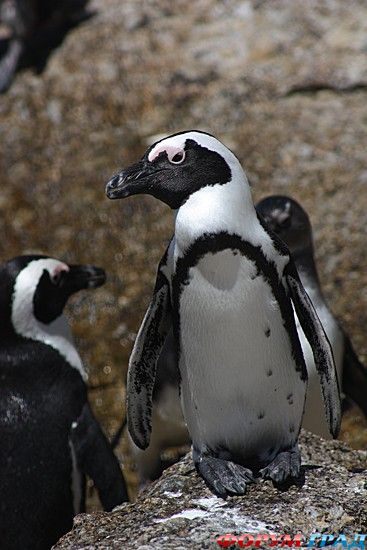 куда поехать отдыхать