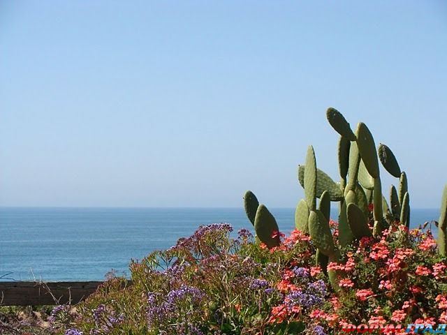 куда поехать отдыхать