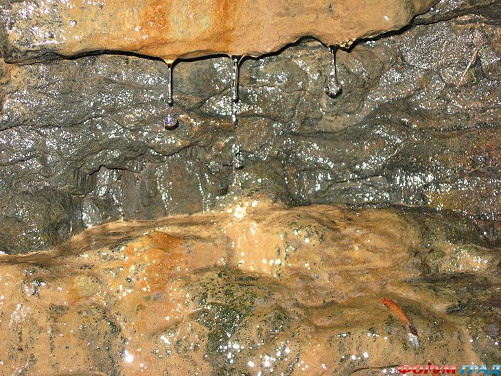 куда поехать отдыхать