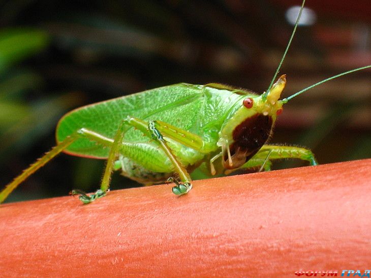 куда поехать отдыхать