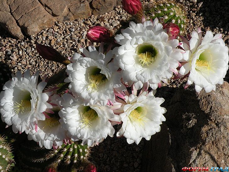 куда поехать отдыхать