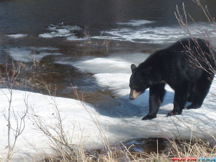 куда поехать отдыхать