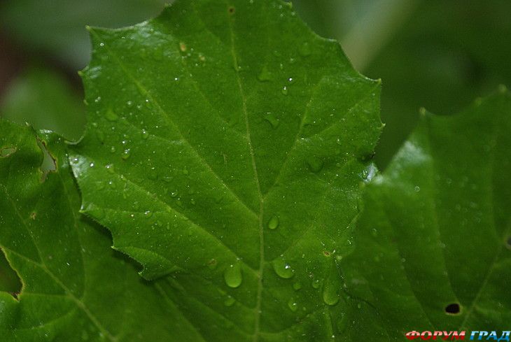 куда поехать отдыхать