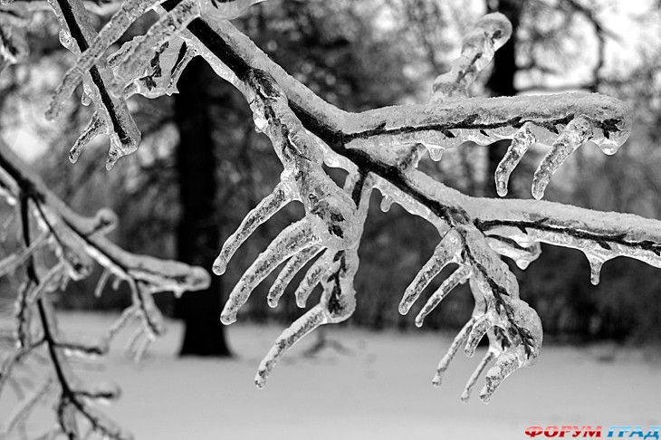 куда поехать отдыхать