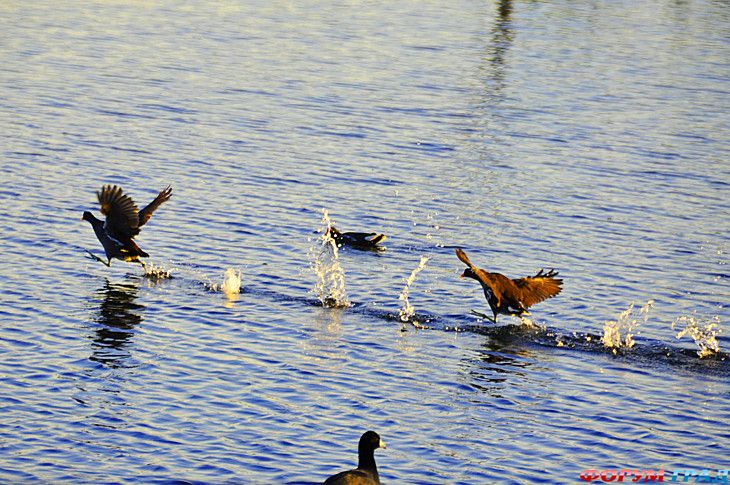 куда поехать отдыхать