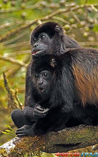 куда поехать отдыхать