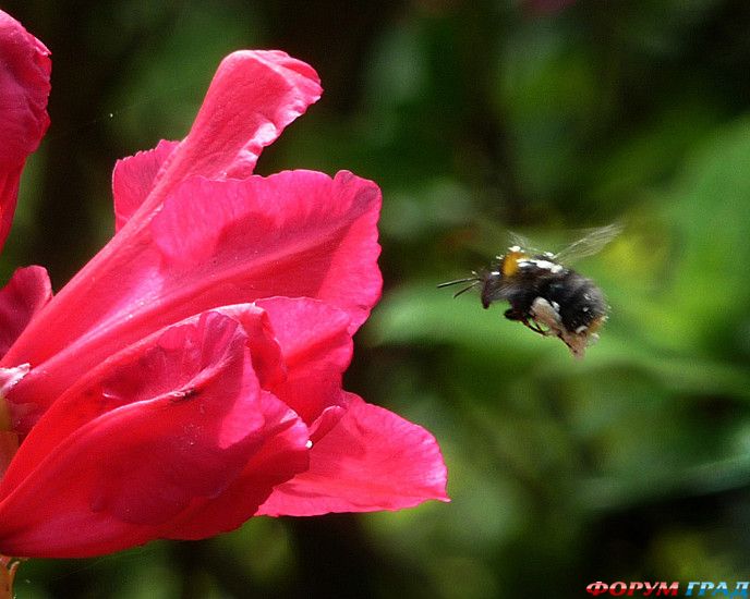 куда поехать отдыхать