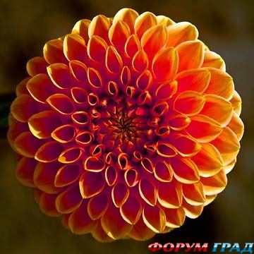 куда поехать отдыхать