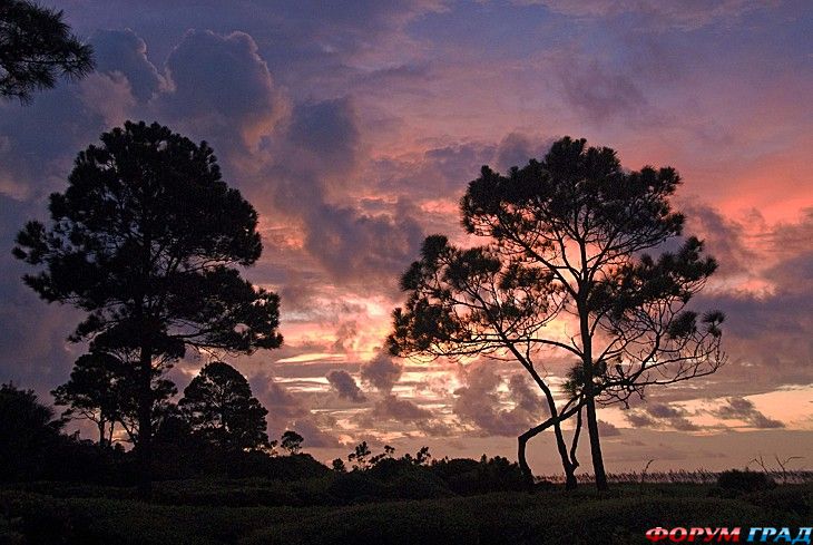 куда поехать отдыхать