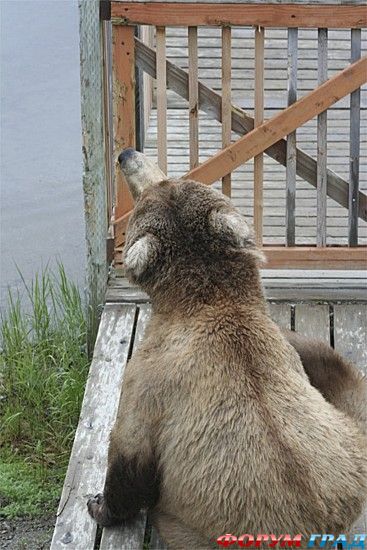 куда поехать отдыхать