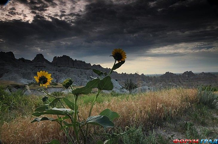 куда поехать отдыхать