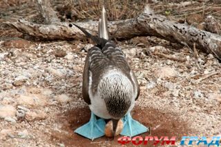 куда поехать отдыхать