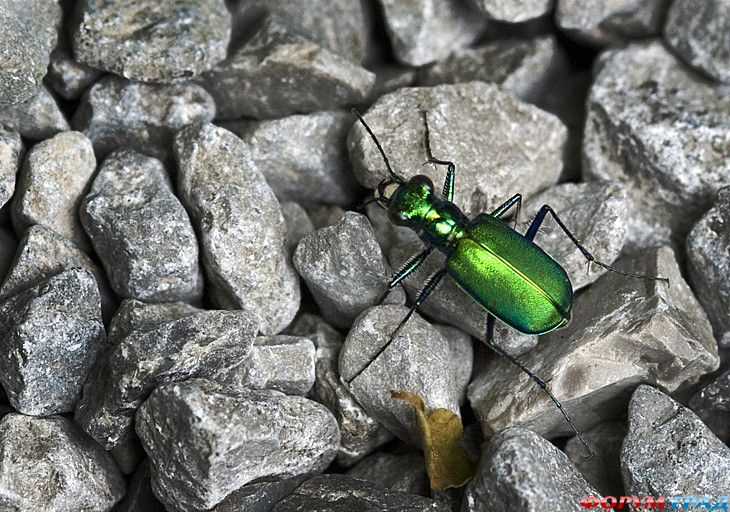 куда поехать отдыхать