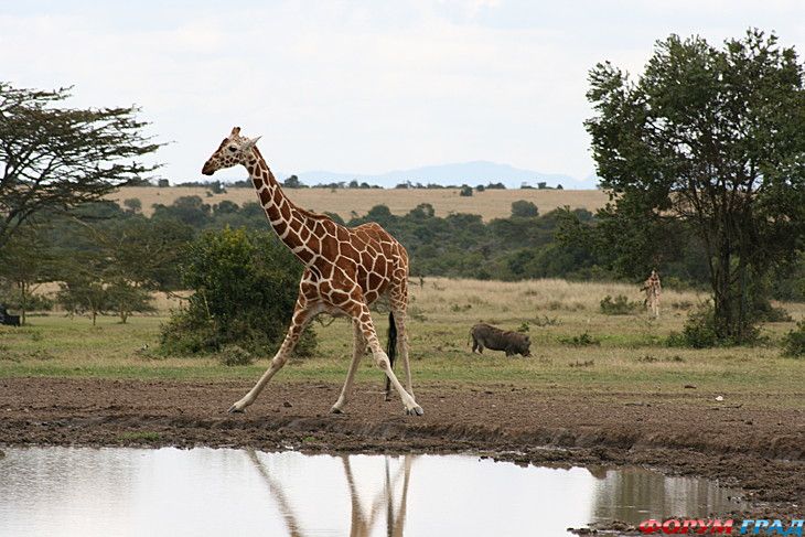 куда поехать отдыхать