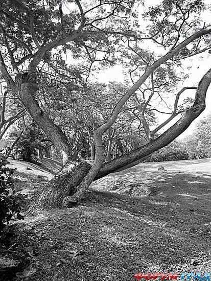 куда поехать отдыхать