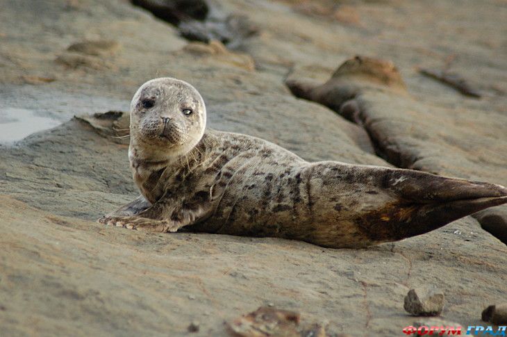 куда поехать отдыхать