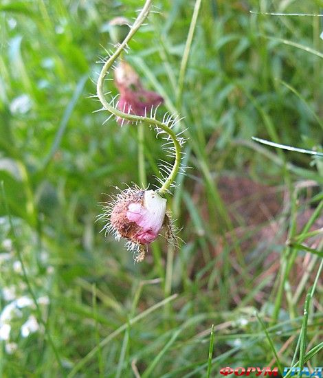 куда поехать отдыхать