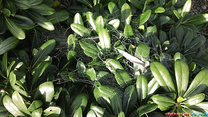 куда поехать отдыхать