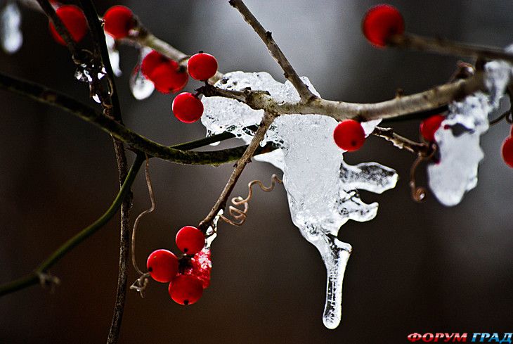куда поехать отдыхать