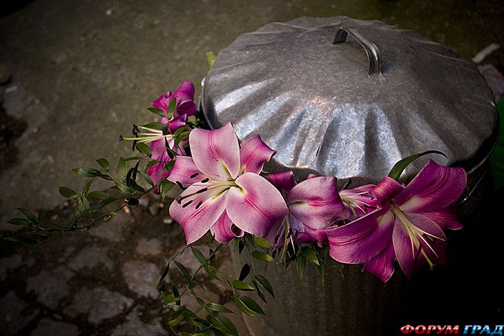 куда поехать отдыхать