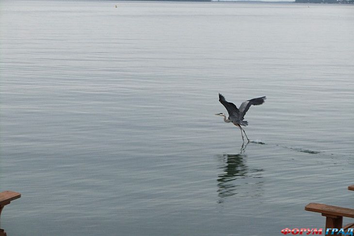 куда поехать отдыхать